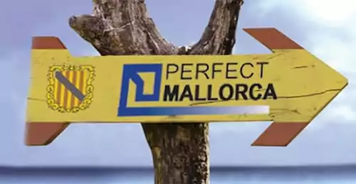 Perfect Mallora - Team